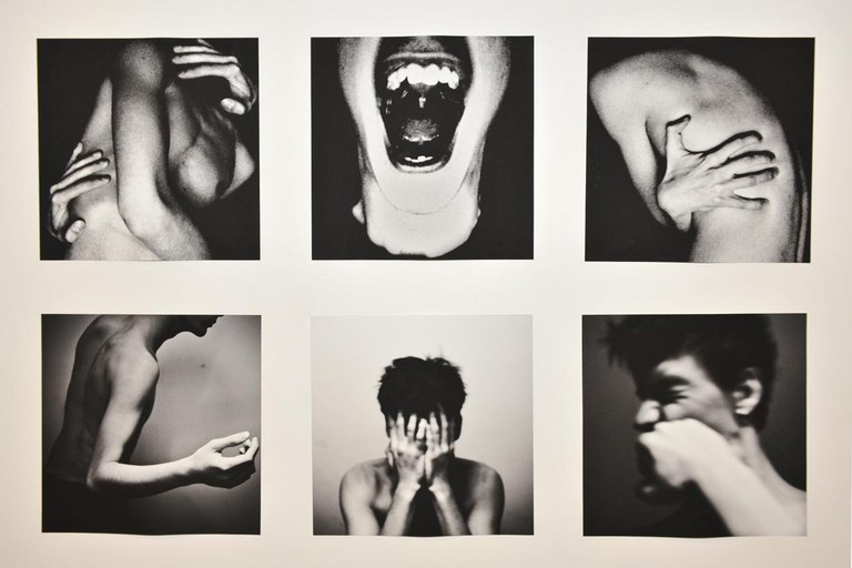 Mostra d'art col·lectiva (foto: Localpres)