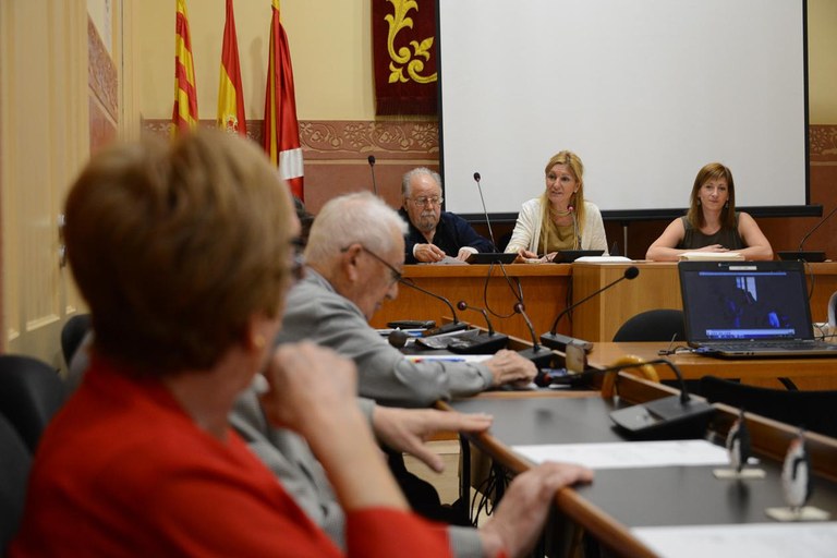 Un moment del plenari (foto: Localpres)