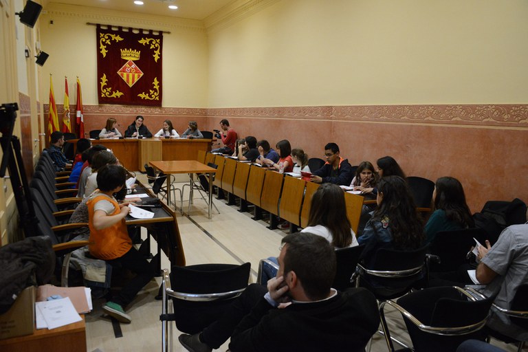 El plenari del Consell dels Infants s'ha celebrat aquest dimecres a la Sala de Plens de l'Ajuntament (foto: Localpres)