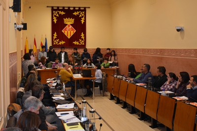 Moment en què el Consell dels Infants ha intervingut al ple (foto: Ajuntament de Rubí).