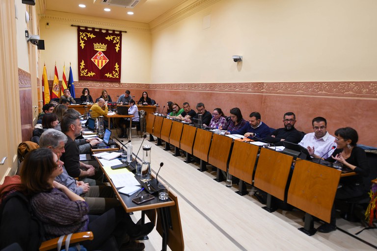 La sessió plenària s'ha celebrat aquest dijous (foto: Ajuntament de Rubí - Localpres)