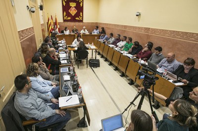 Milagros Calleja ha donat a conèixer al Ple la memòria de la Sindicatura de Greuges (foto: Ajuntament – Lali Puig).