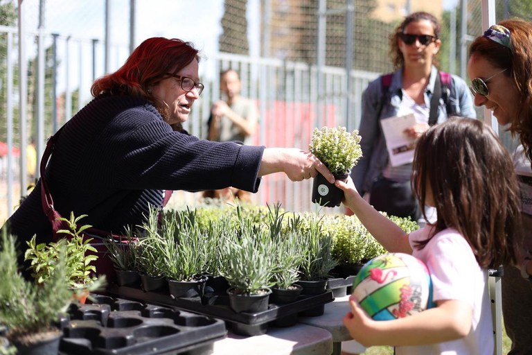 La Font del Ferro ha repartit plantes (foto: Ajuntament de Rubí – Localpres)