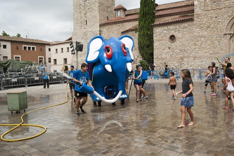 El Bòjum (foto: Cesar Font)
