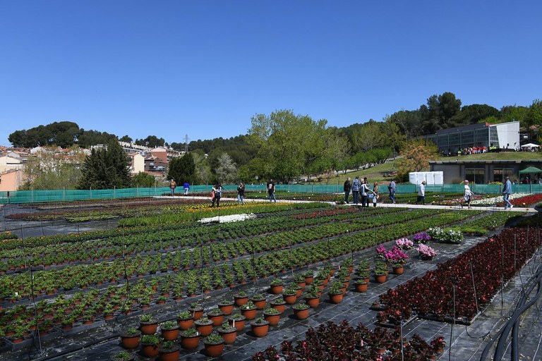 Durant el matí de diumenge, la Font del Ferro ha tingut un degoteig constant de visitants  (foto: Localpres)