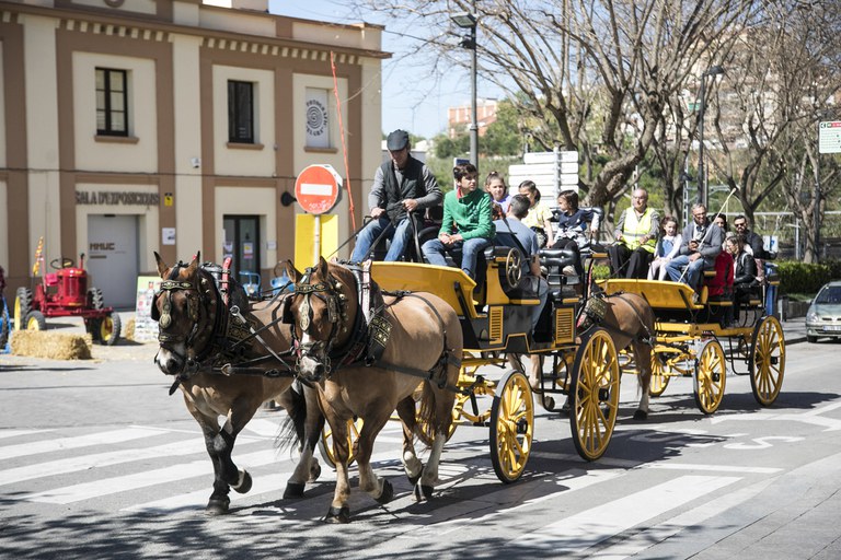 Sant Antoni Abat ha tornat a oferir l'activitat "Puja al carro de Sant Antoni" (foto: Ajuntament de Rubí – Lali Puig)