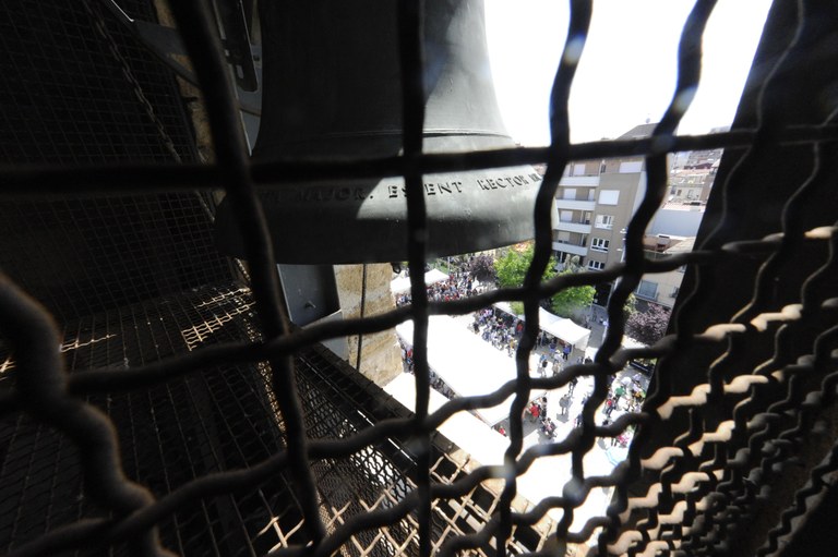 Sant Jordi 2017 (foto: Localpres)