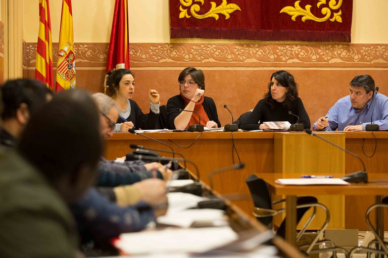 El Plenari ha estat presidit per la regidora de Governança i Ciutadania, Neus Muñoz (foto: Localpres)