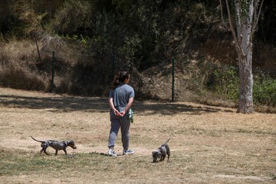 A les zones d’esbarjo, els gossos poden anar deslligats (foto: Ajuntament de Rubí).