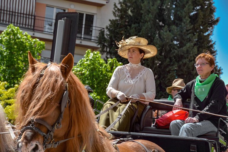 22a Trobada Nacional dels Tres Tombs (foto: Ajuntament - Localpres)