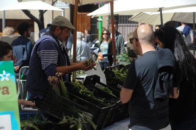 Durant la fira, diversos productors agrícoles locals han mostrat els seus productes a la ciutadania (foto: Localpres).