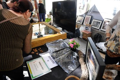 El passeig de Francesc Macià també ha comptat amb una parada dedicada als bolets de Rubí (foto: Localpres)