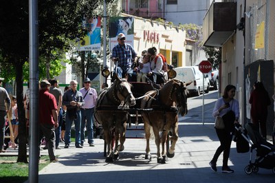 La Societat Sant Antoni Abat ha organitzat novament l'activitat "Puja al carro de Sant Antoni" (foto: Localpres)