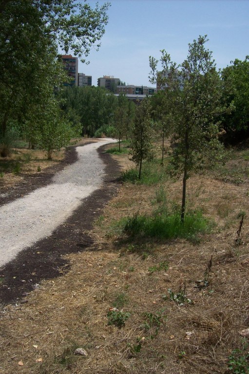 Manteniment del camí torrent Abelles