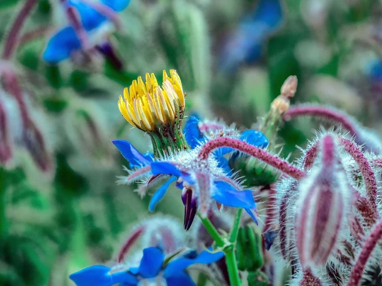El Gra, passeig fotogràfic