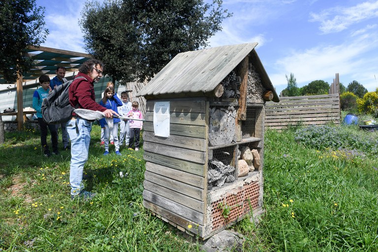 Durant la setmana s'han organitzat diverses propostes a l'aire lliure per descobrir la fauna i la flora (foto: Ajuntament de Rubí – Localpres)