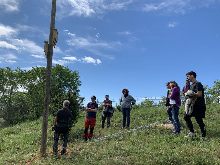 Caixes refugi instal·lades als horts municipals de Cova Solera (Fotografia: Ajuntament de Rubí)