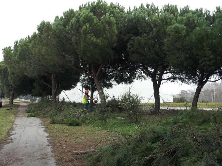 En el solar de la avenida Generalitat se ubicará un circuito de elementos para el calentamiento deportivo