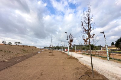 La plantación de arbolado ya se ha iniciado (foto: Ayuntamiento de Rubí - Localpres).