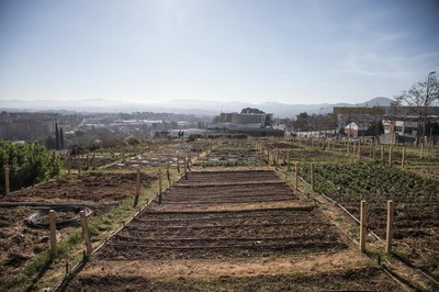 El curso se realizará en los huertos municipales de Cova Solera (foto: Ayuntamiento de Rubí - Lali Puig).
