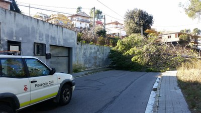 Un árbol cayó en la calle Cabrera a raíz del vendaval e impedía la circulación por esta vía.