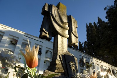 Una de las actuaciones prevé sustituir las cubiertas de varios nichos por nuevos tejados planos (foto: Lídia Larrosa).