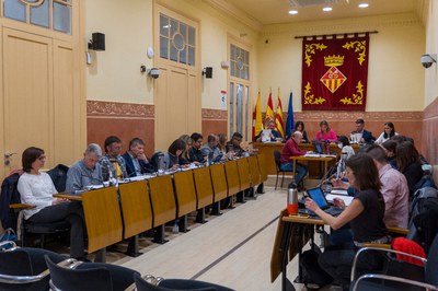 La sesión extraordinaria se ha celebrado este jueves por la noche (foto: Ayuntamiento de Rubí - Localpres).