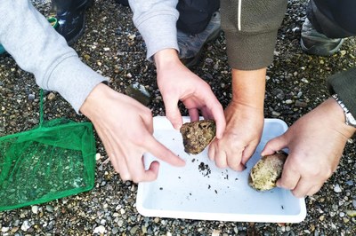 “Llegim el riu” es una iniciativa que se fundamenta en la ciencia ciudadana en torno al río Llobregat y de sus principales afluentes (foto: Ayuntamiento de Rubí).