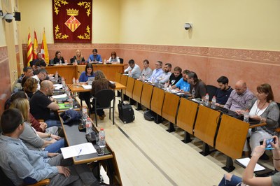 Sesión plenaria del mes de mayo (foto: Ayuntamiento de Rubí).