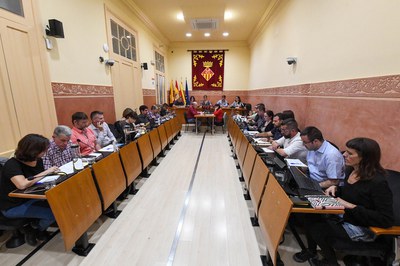 El Pleno se ha celebrado este jueves (foto: Ayuntamiento de Rubí - Localpres).