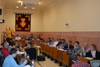 Imagen de la sesión plenaria extraordinaria de este jueves.