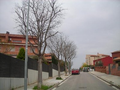 Entre otros, se desherbarán varias aceras y alcorques y se aplicará herbicida.