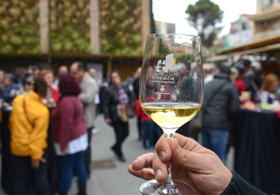 Miles de personas pasaron el año pasado por la Feria del Vino (foto: Localpres).