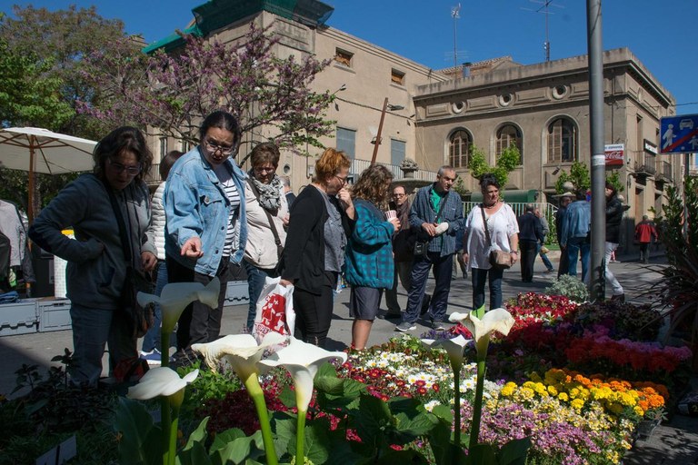 El vivero de la Font del Ferro ha instalado un stand para mostrar sus productos (foto: Localpres)