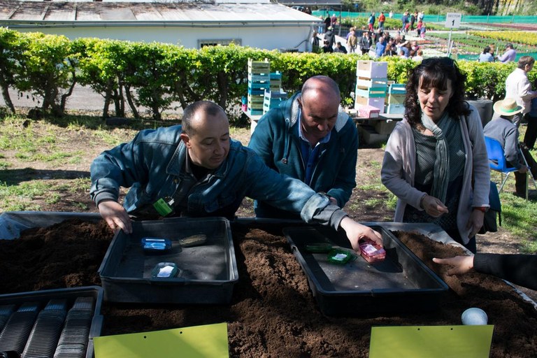 Jornada de puertas abiertas en la Font del Ferro (foto: Localpres)