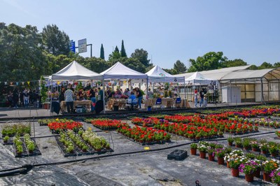Las personas que han visitado la Font del Ferro han podido adquirir flores y otras plantas de temporada (foto: Ayuntamiento de Rubí - Localpres).