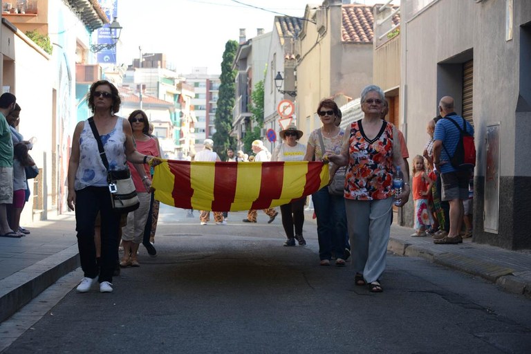 Varias entidades han participado en el cortejo (foto: Localpres)