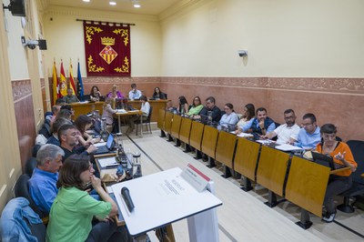 Último pleno ordinario del mandato (foto: Ayuntamiento de Rubí - Localpres)