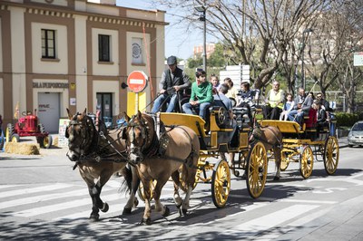 Sant Antoni Abat ha vuelto a ofrecer la actividad "Puja al carro de Sant Antoni" (foto: Ayuntamiento de Rubí - Lali Puig)