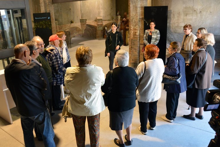 Visita al Peacock Rubí Art Festival