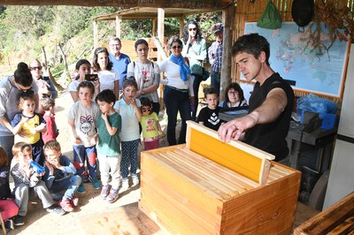 También han aprendido muchas curiosidades sobre las abejas y la apicultura (foto: Localpres)