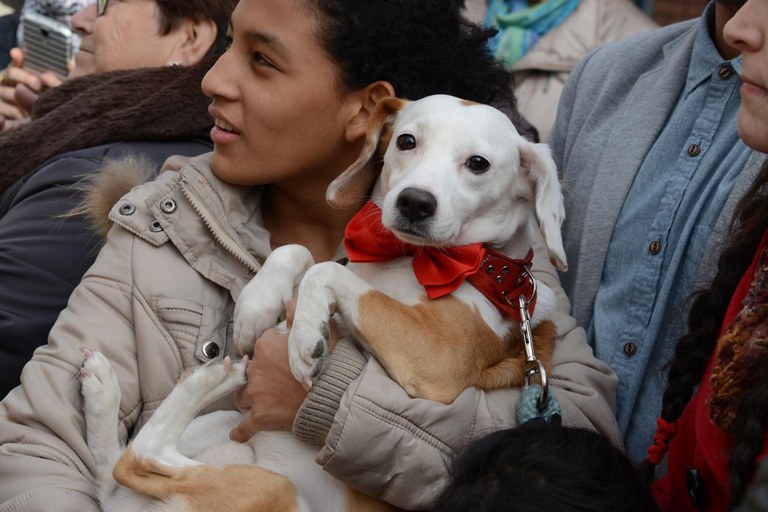 Durante la fiesta se ha bendecido los animales (foto: Localpres)