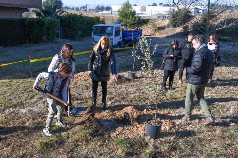 Plantada árboles calle Art (Foto: Ayuntamiento de Rubí - Localpres )