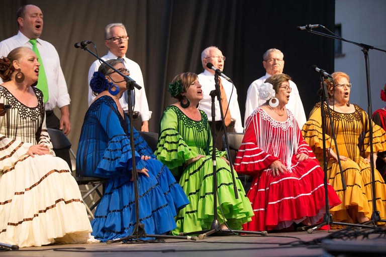 Actuación de las entidades andaluzas (foto: Localpres)