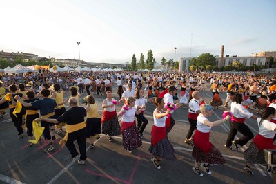 Baile de Gitanes al Carrer (foto: Localpres)