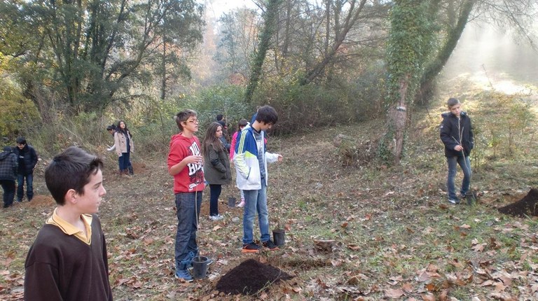 Jornada de plantación 2013/2014 III