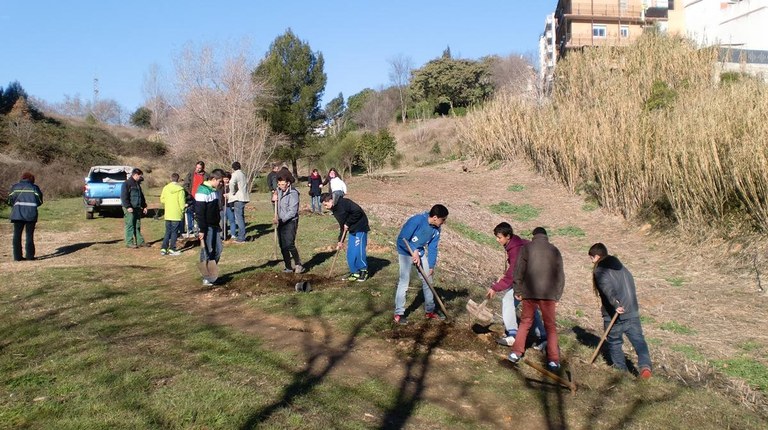 Jornada de plantación 2013/2014 IV