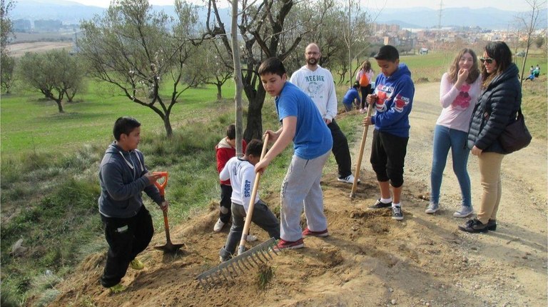 Jornada de plantación 2014/2015 II