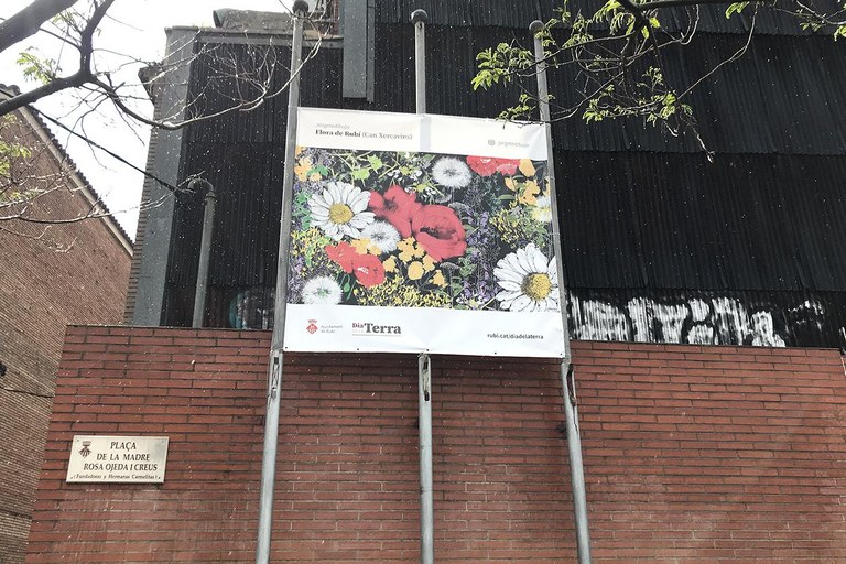 Respira Rubí - Ilustración: Jorgetedibujo