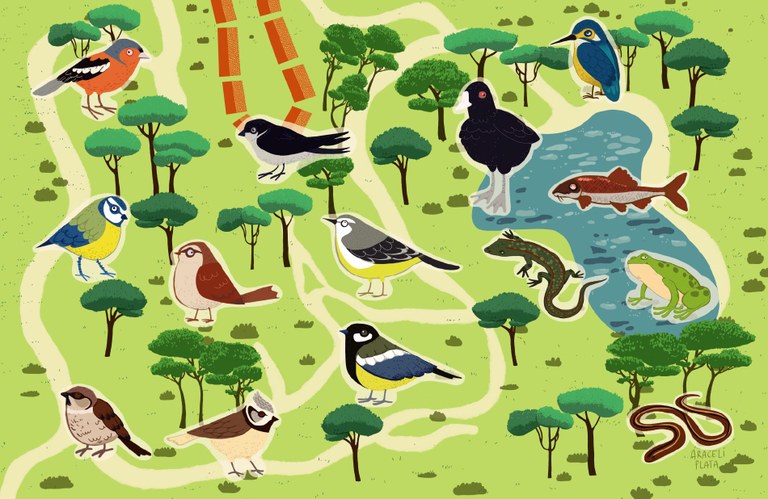 Araceli Plata - Envoltat de Natura